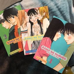 Kimi no todoke